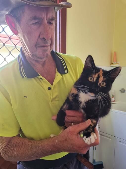 Monday is enjoying her life with her new family in Wauchope. Photo: Supplied