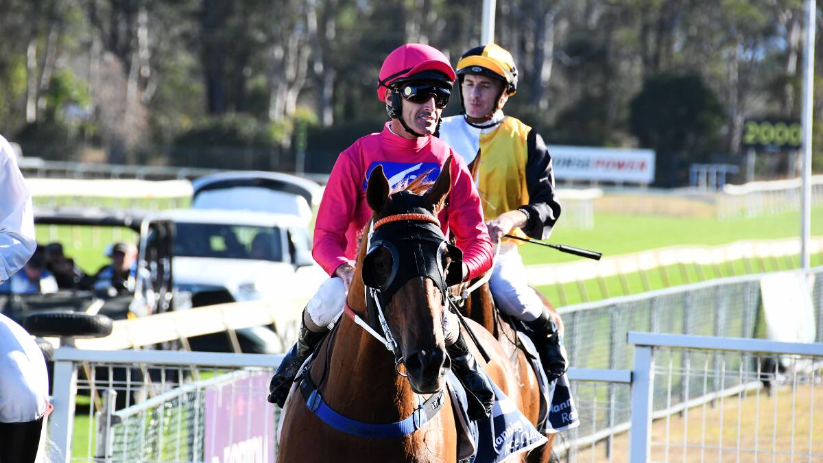 Race 7 the Port Macquarie Cup winner Superium and Jockey Grant Buckley. Picture by Scott Calvin 