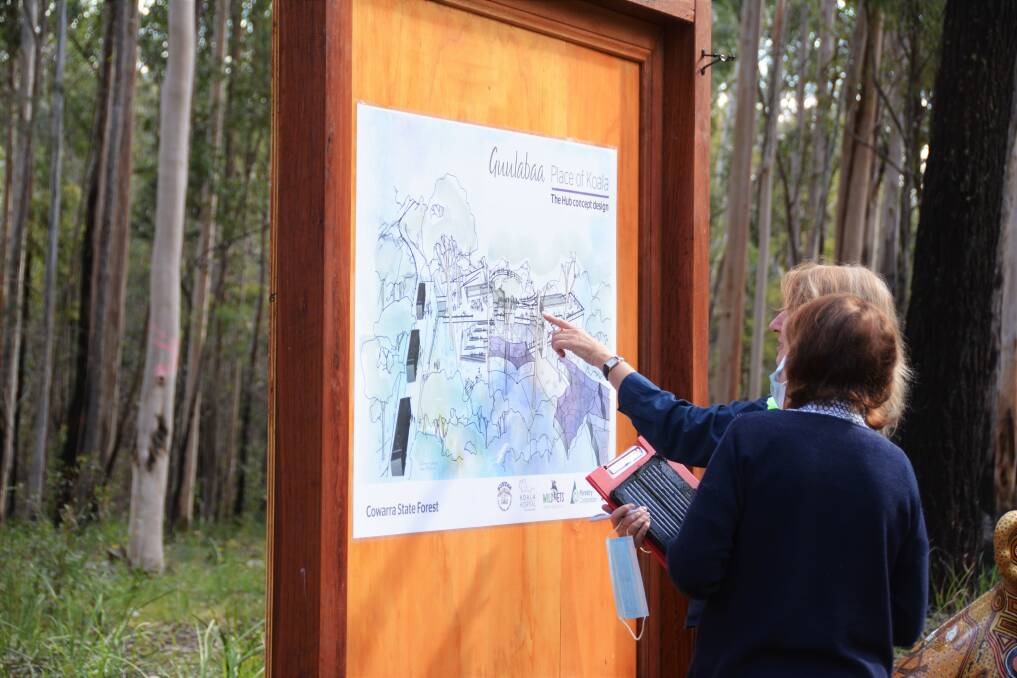 Senior manager of Stewardship Forestry Corporation of NSW Kathy Lyons and Member for Port Macquarie Leslie Williams looking at the design plan for the hub.