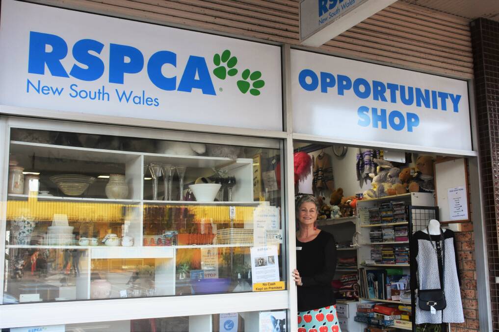 Animal welfare: President of the RSPCA Port Macquarie branch Jackianne Wright.