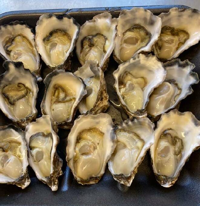 Local oysters are back on the menu this Christmas. Picture: Armstrong Oysters 