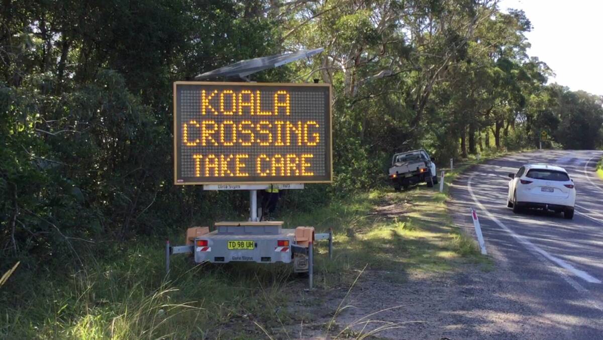Be aware of koalas: An electronic traffic sign raises motorists' awareness about koalas.