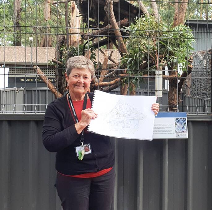 Major project: Koala Conservation Australia president Sue Ashton displays the redevelopment plans.
