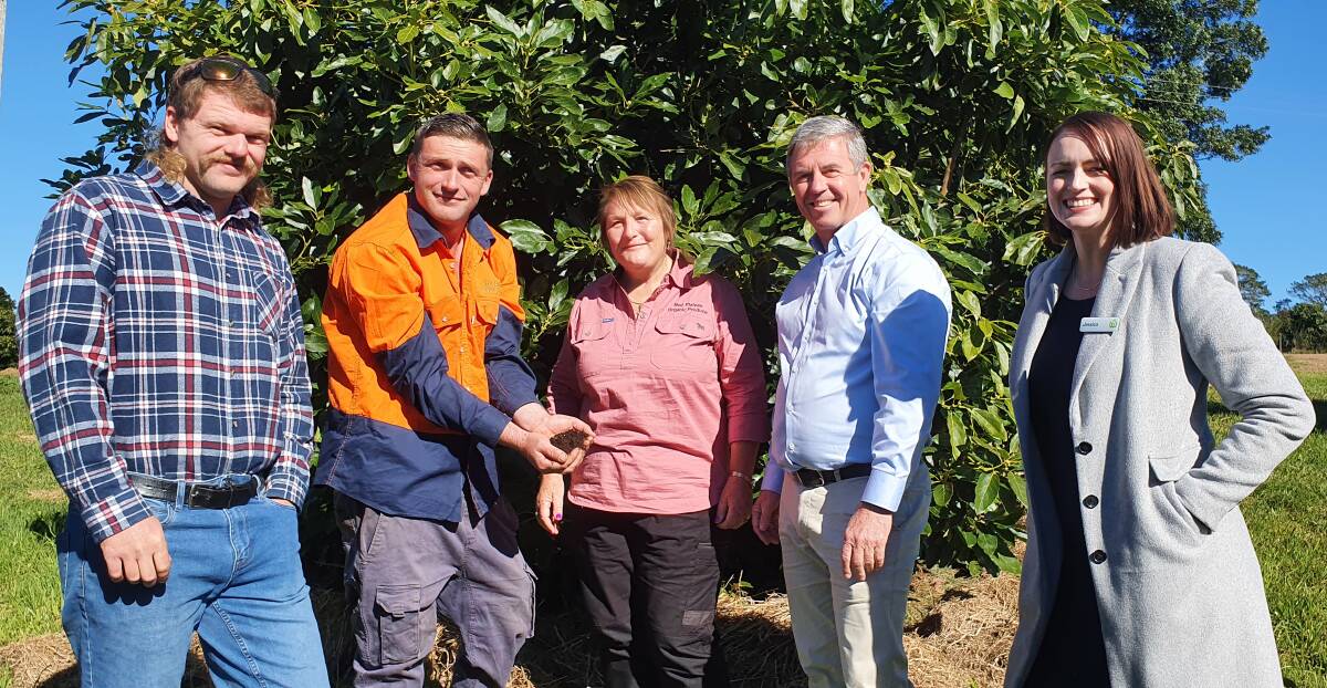 Organic farming: Joey Hanly, Carl Hanly and Sandra Fishwick from Red Plateau Organic Produce, Lyne MP Dr David Gillespie and Woolworths category manager of organic fruit and vegetables Jessica Loader appreciate the rich soil on the Comboyne avocado farm.