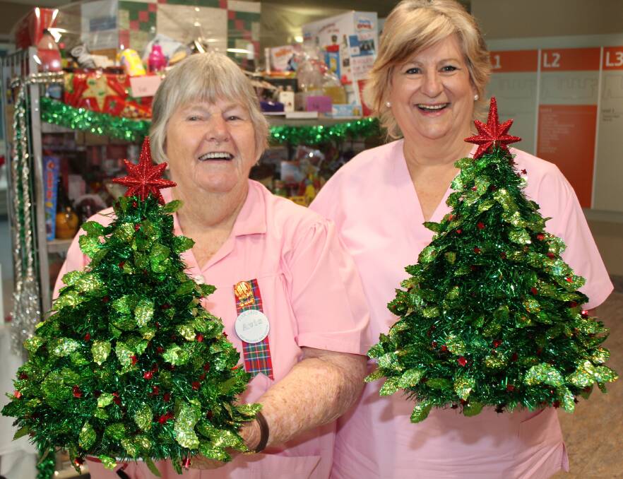 Merry Christmas: Pink Ladies Avis Jordon and Madeleine Crowley with the Christmas trees that help raise money for hospital equipment.