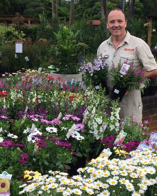Business booms: Bonny Hills Garden Centre plant purchaser Mal McKinlay says flowering plants, vegetable seedlings, herbs and seeds are in demand.