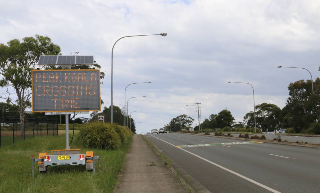 An electronic sign is another reminder for motorists about koalas.