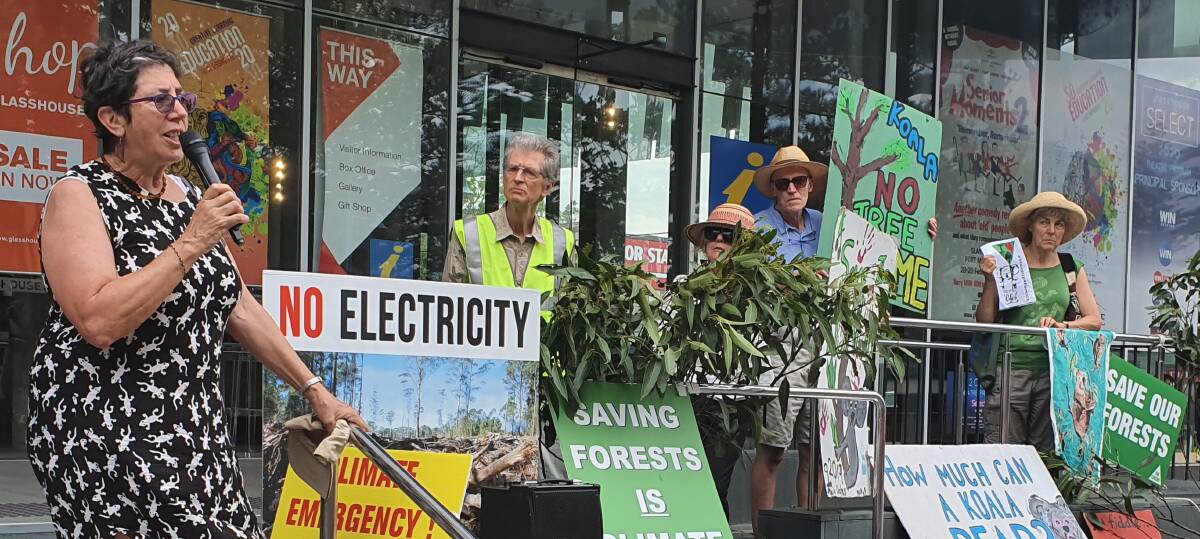 Susie Russell addresses the North Coast Environment Council's Rally 4 Koalas.