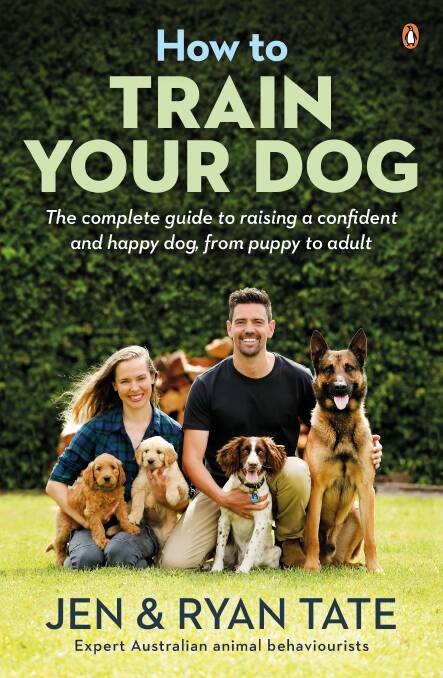 How to ensure your canine companion is happy and confident