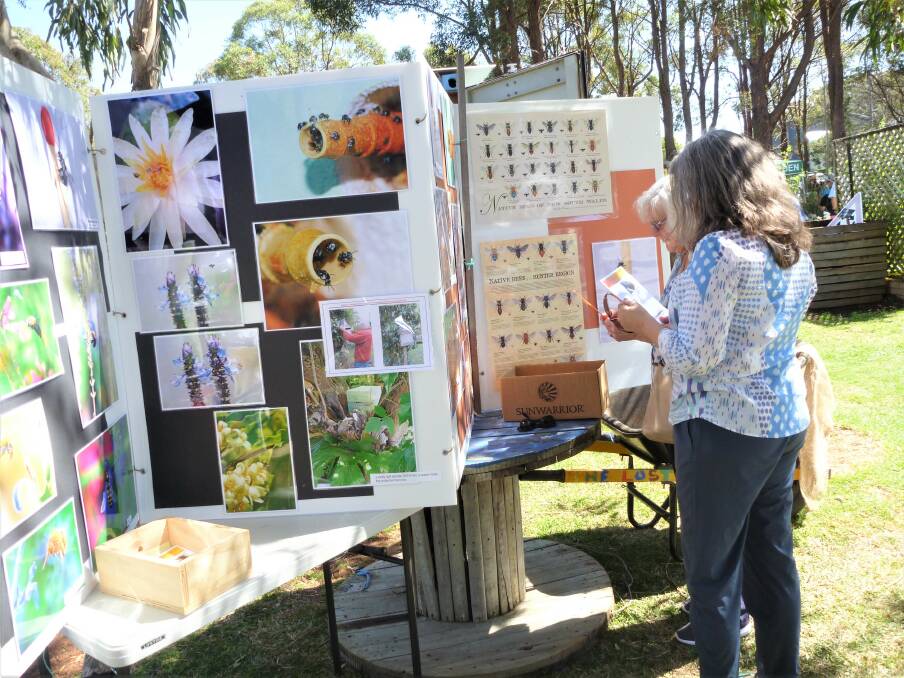 Sharing knowledge: A display provides information about native bees.