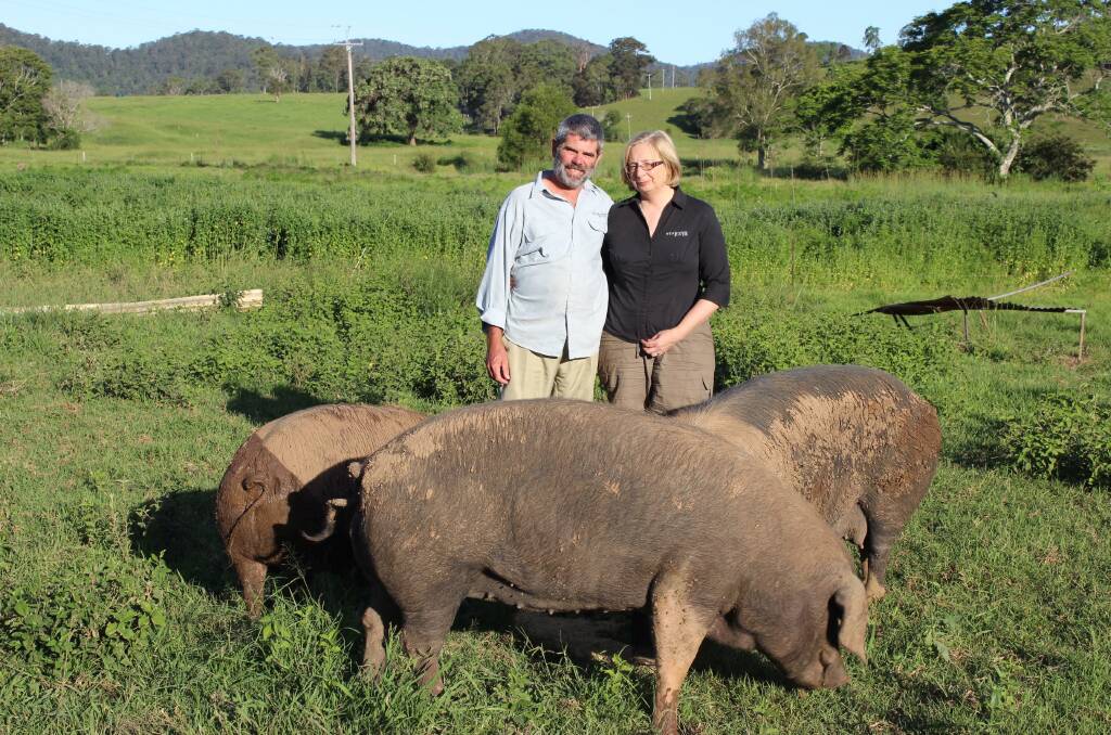 Local producers: Andrew and Therese Hearne from Near River Produce are pictured with their Wessex Saddleback sows.
