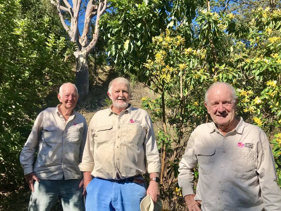 Community-minded: Friends of Mrs York's Garden volunteers Mike Bush, John Thompson and Mike Morgan assist at a working bee. Photo: Friends of Mrs York's Garden