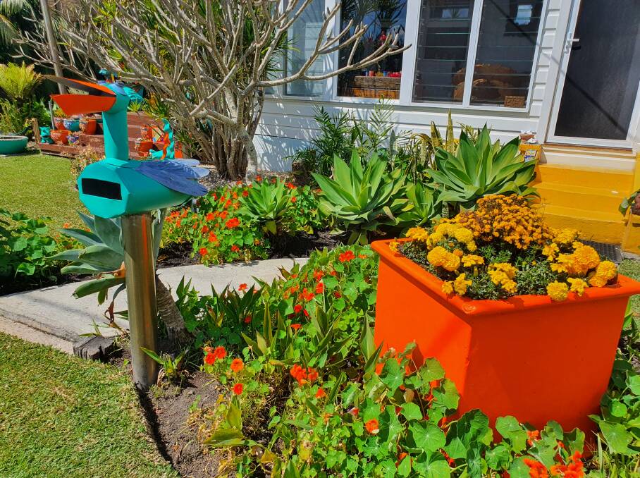Pops of colour: The front garden draws attention with its colour.