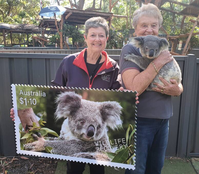 Looking after our wildlife: Koala Conservation Australia president Sue Ashton and Port Macquarie Koala Hospital home carer Barb Barrett, with former home care koala Zenani, promote the special series of six stamps focused on wildlife recovery.