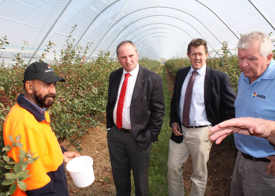 Listening to industry: Deputy Prime Minister Barnaby Joyce and Cowper MP and Assistant Minister to the Deputy Prime Minister Luke Hartsuyker visit a blueberry farm on the North Coast.