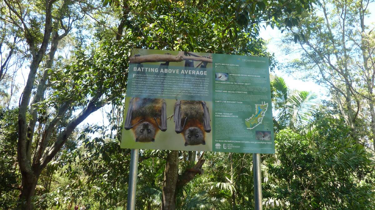 One of the new signs provides information about the flying fox colony in Kooloonbung Creek Nature Park.