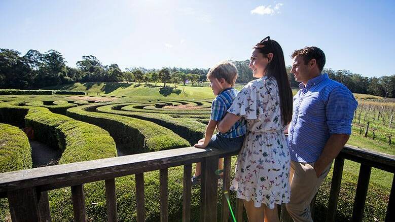 Architecturally designed: Bago maze has more than 2000 metres of pathways, bridges and hedges.