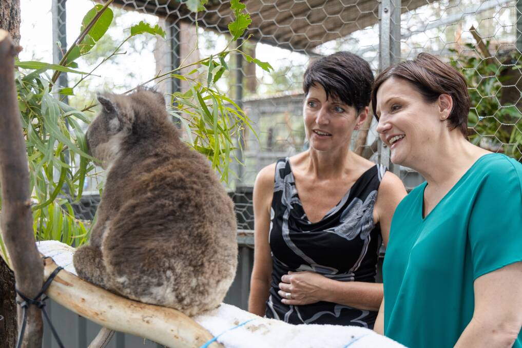 Fact-finding: NSW opposition environment spokesperson Kate Washington and NSW Labor leader Jodi McKay tour Port Macquarie Koala Hospital. Photo: NSW Labor