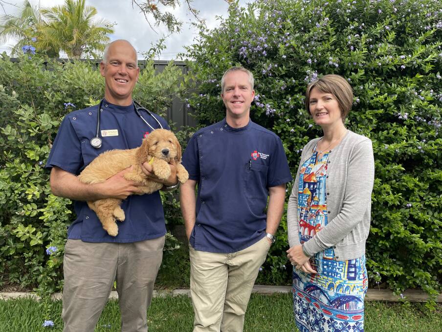 Busy practice: Dr Tim Reed, Dr Chris Livingston and Paula Reed from Port Macquarie Veterinary Hospital thank the practice's clients as the business marks its 50th year.