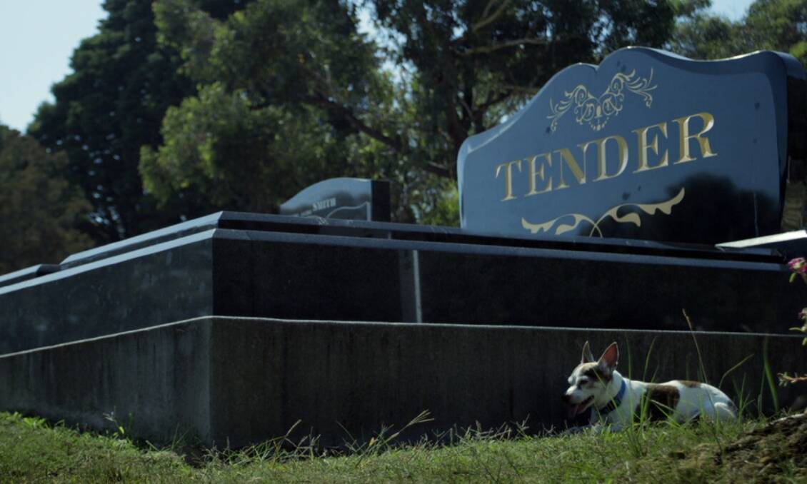 Inspirational film: There will be "Tender" documentary screenings at Port Macquarie Library in August.