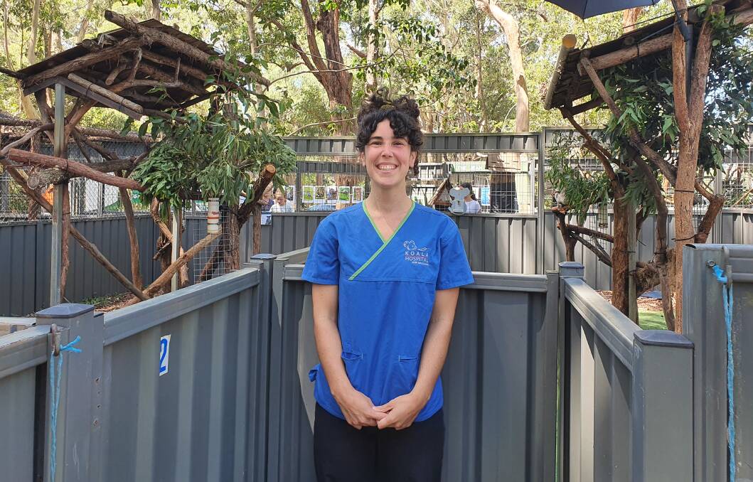 Interesting work: Dr Pip Beale enjoys her job at the Port Macquarie Koala Hospital.