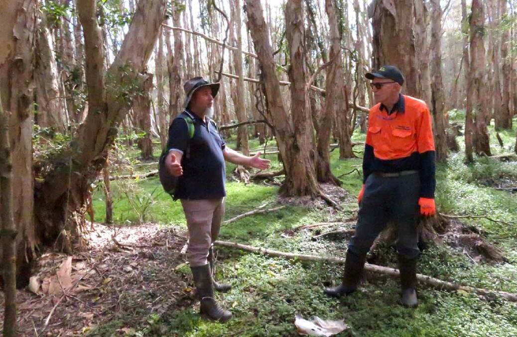 Collaborative approach: Les Mitchell (right) liaises with council ecologist Byron Reynolds about enhancing habitat at Kooloonbung Creek Nature Park. Photo: Rex Moir