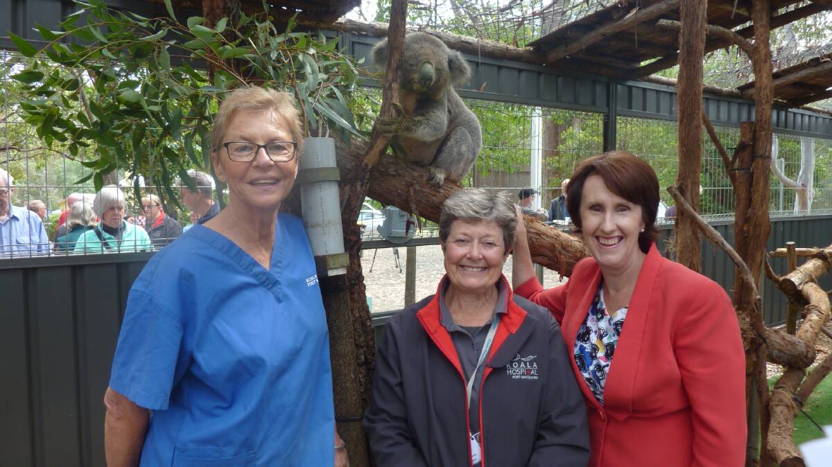 Game changer: Port Macquarie Koala Hospital clinical director Cheyne Flanagan, Koala Conservation Australia president Sue Ashton and Port Macquarie MP Leslie Williams are thrilled with the redevelopment project.