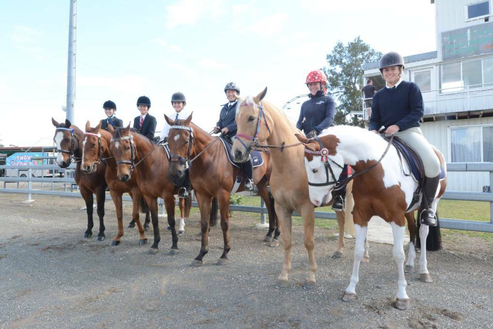 Hack class competitors at the 2019 Taree Show. The 2021 event has been cancelled due to the COVID-19 pandemic.