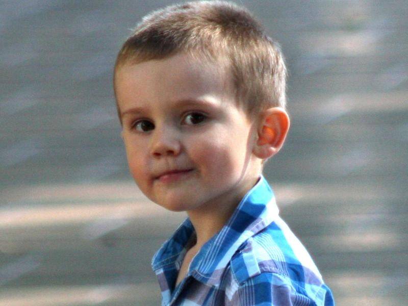 The search for William Tyrrell will continue on his seventh birthday.