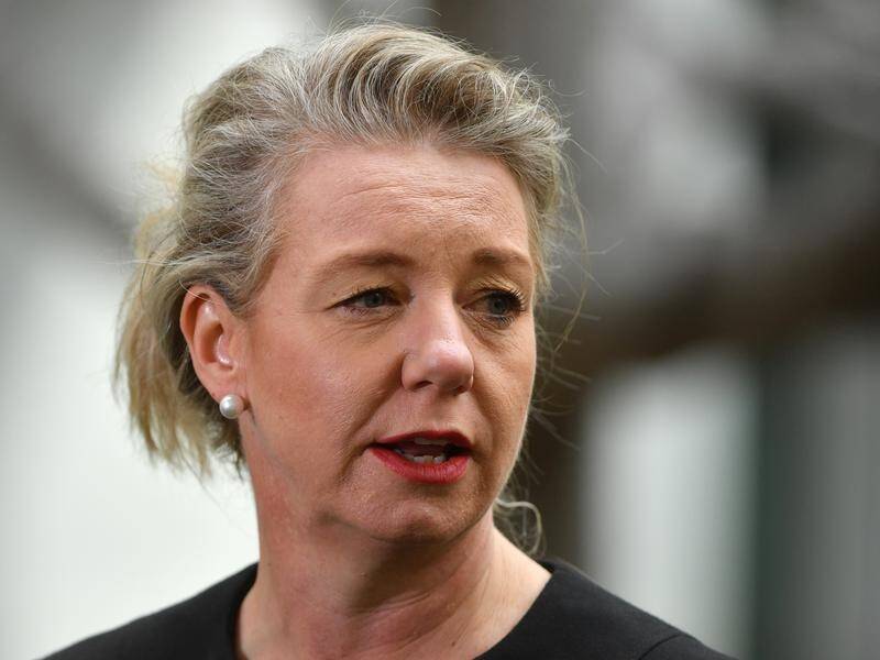 Nationals Senate leader Bridget McKenzie has strongly defended her NSW colleagues.