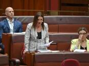 Jacqui Lambie sought a conference between the two houses of parliament over workplace reforms. (Mick Tsikas/AAP PHOTOS)
