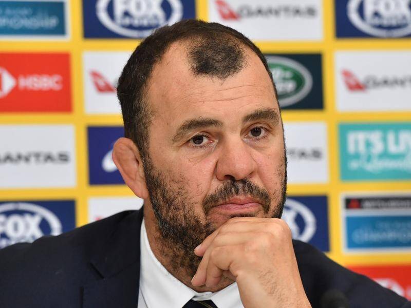 David Pocock says he wasn't even aware coach Michael Cheika's position was up for discussion.