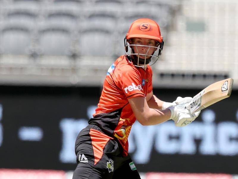 Elyse Villani has helped the Perth Scorchers to 2-148 in their WBBL semi against the Sydney Thunder.