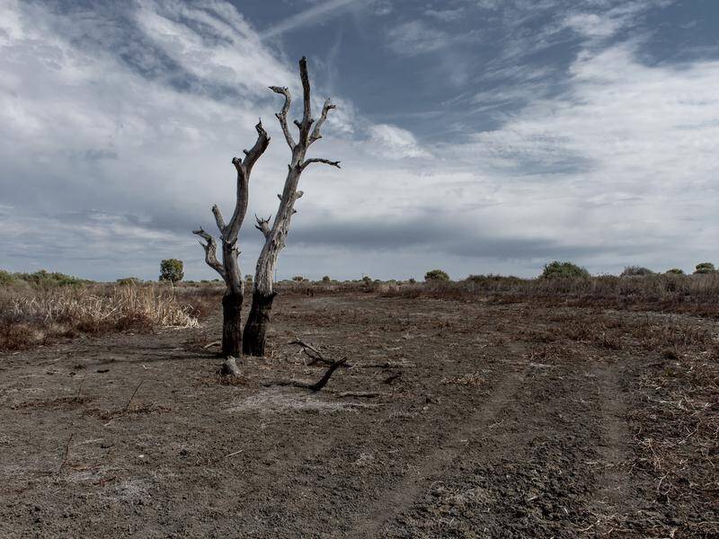 Large parts of western and central NSW remain in drought or intense drought.