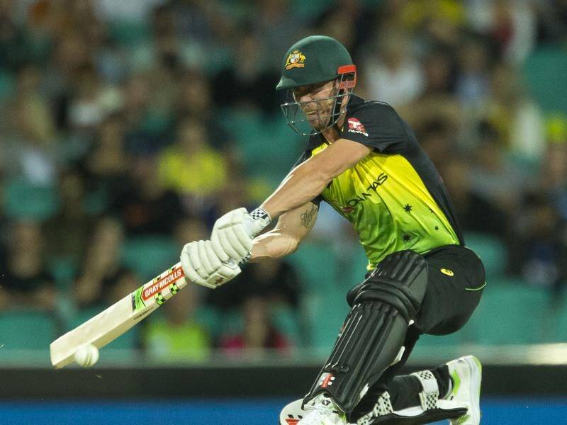 Chris Lynn struck six fours and a six in his 38-ball knock of 44 for Australia against New Zealand.