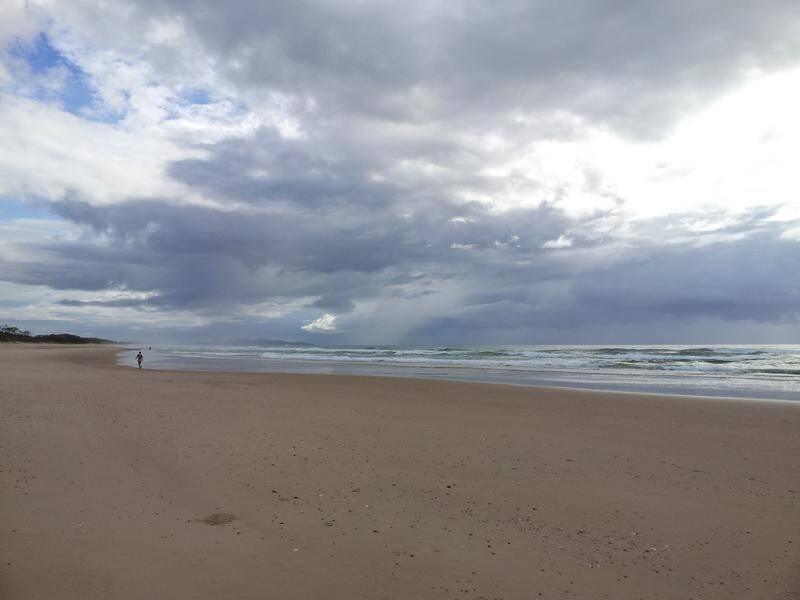 A man has been injured in a shark attack while surfing at Crescent Head in NSW.
