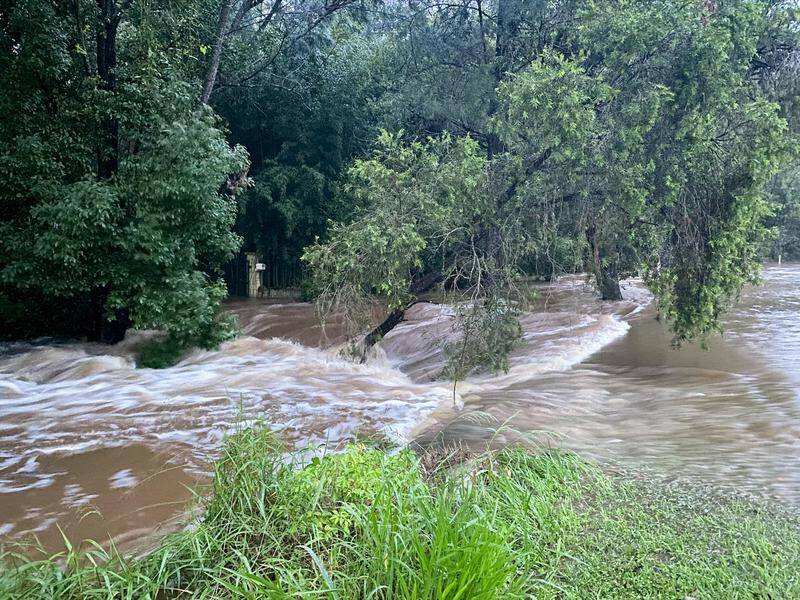 Queensland border towns remain on flood alert, with more rain forecast.