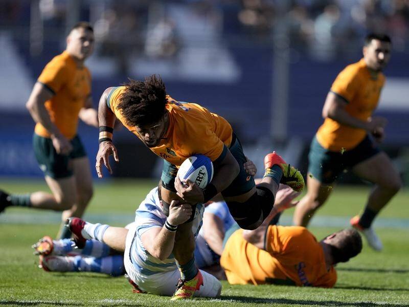 The Wallabies have been stung in a 48-17 loss to hosts Argentina. (AP PHOTO)