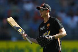 Coach Adam Voges has enjoyed sustained success with Western Australia and the Perth Scorchers. (Gary Day/AAP PHOTOS)