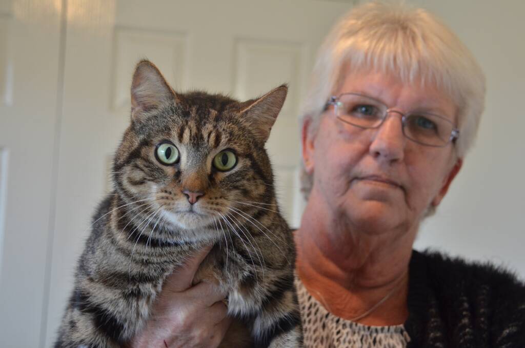 Boof the cat returned to his owner Pam Humphreys after 8 years on the run