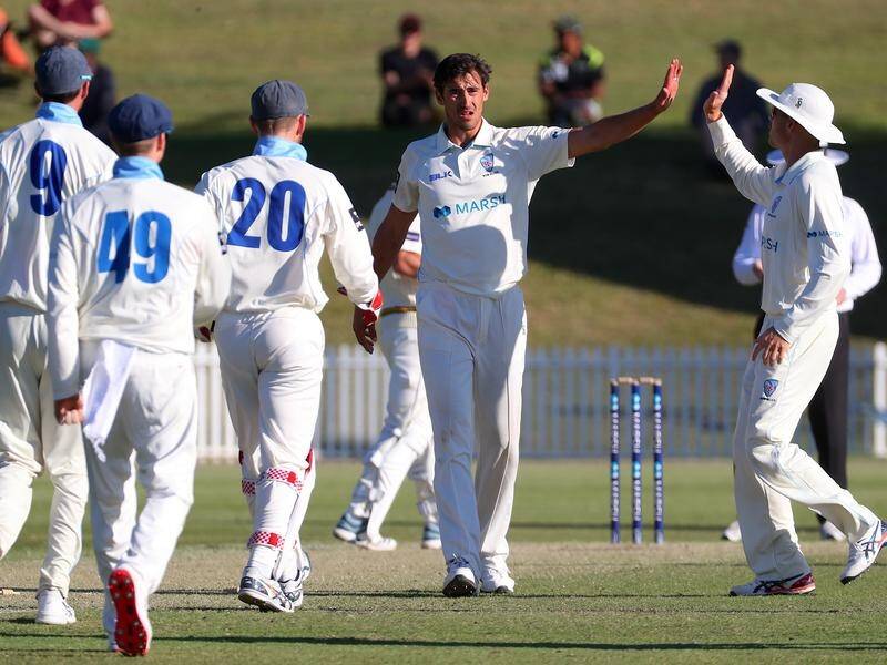 NSW bowler Mitchell Starc (c) was the chief destroyer in the Shield match against Tasmania.
