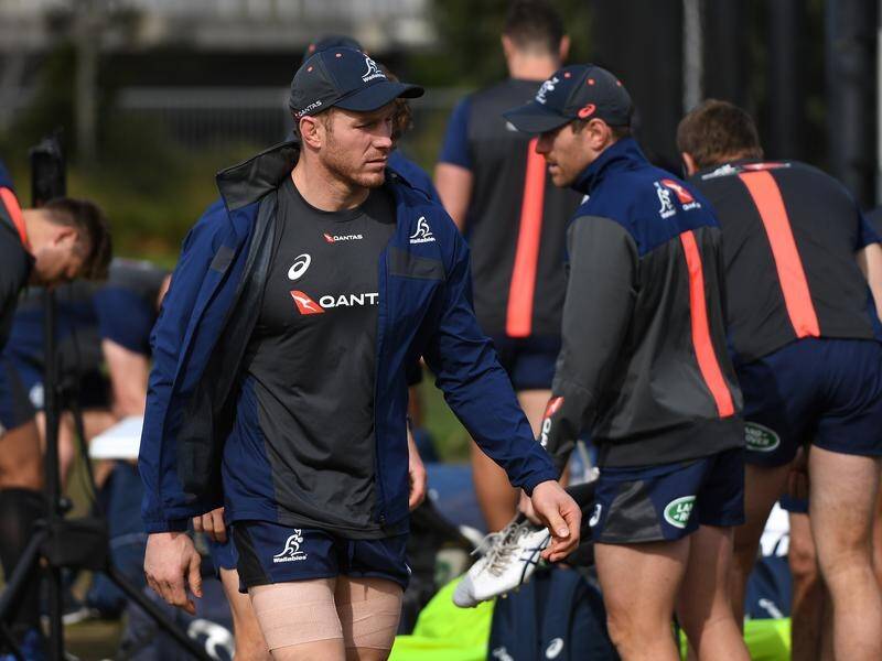 David Pocock's comeback has been scheduled for Australia's final pre-World Cup hit out with Samoa.