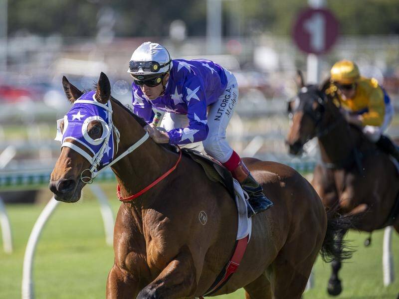 Imported stayer Humbolt Current has broken through for his second Australian win at Eagle Farm.