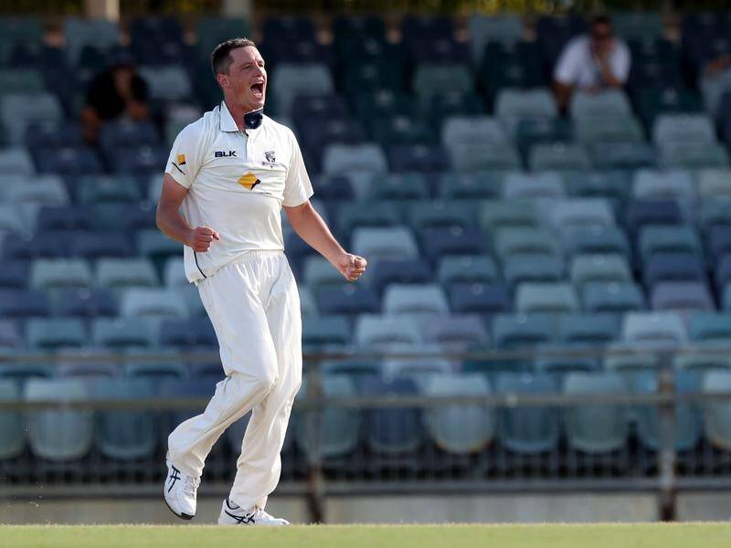 Chris Tremain of Victoria now has 36 Shield wickets for the season.