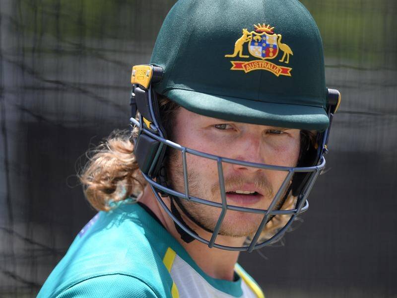 Will Pucovski has suffered another concussion after being hit on the head by a cricket ball.