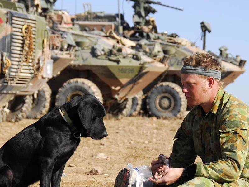 Australia's modern-day dogs of war will also be celebrated this Anzac Day.