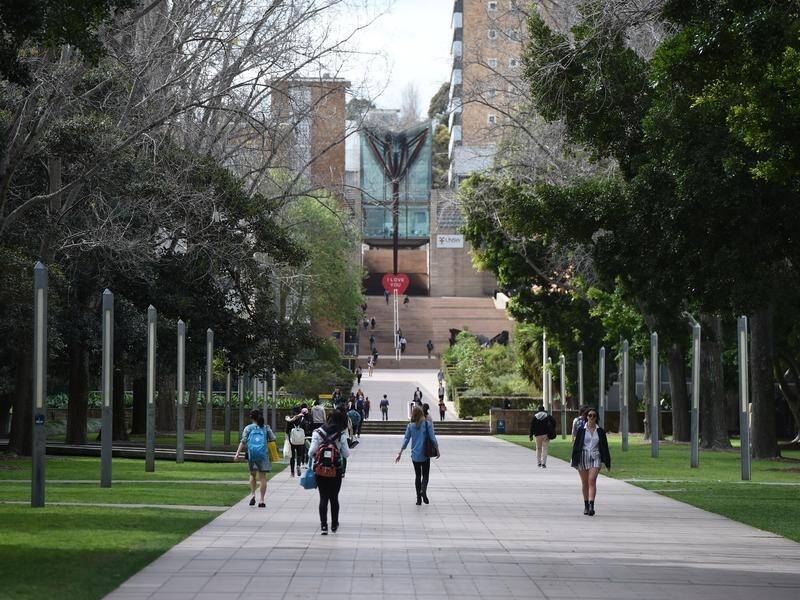 International student applications for Australian universities have dropped 51 per cent since March.