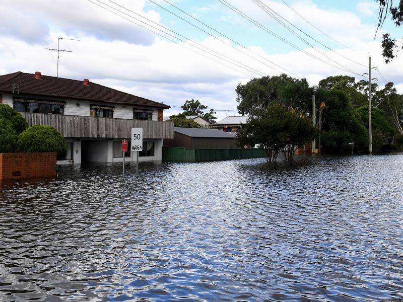 Nearly 7500 ADF personnel are expected to be helping with flood recovery by the end of Monday.