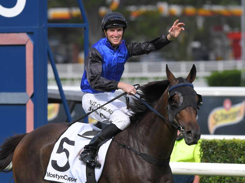 Shadow Hero will be aiming for his third Group One win when he runs in the Australian Derby.