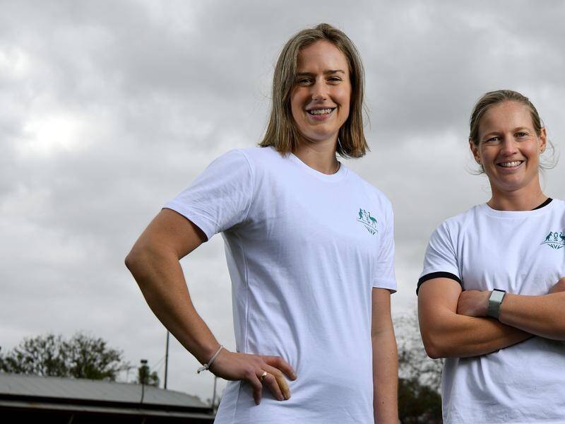 Ellyse Perry and Meg Lanning will be chasing yet another major title at the Commonwealth Games.